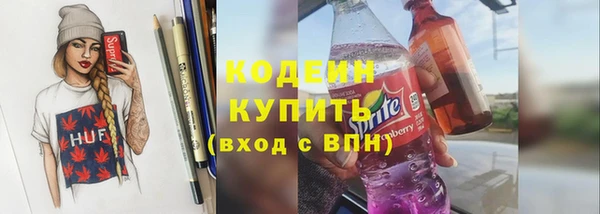 мдпв Елизово