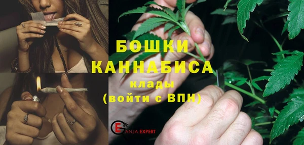прущая мука Ельня