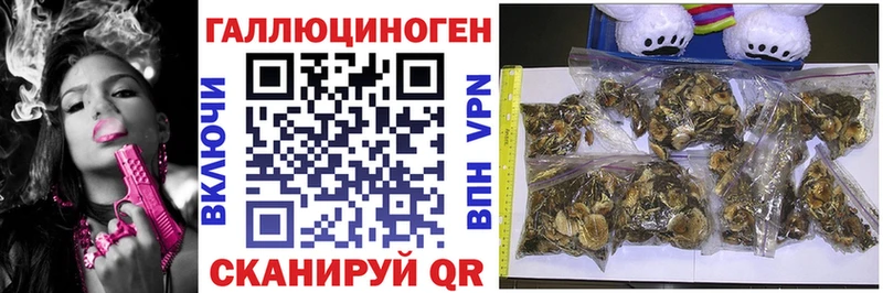 Галлюциногенные грибы MAGIC MUSHROOMS  Купить  Миасс 